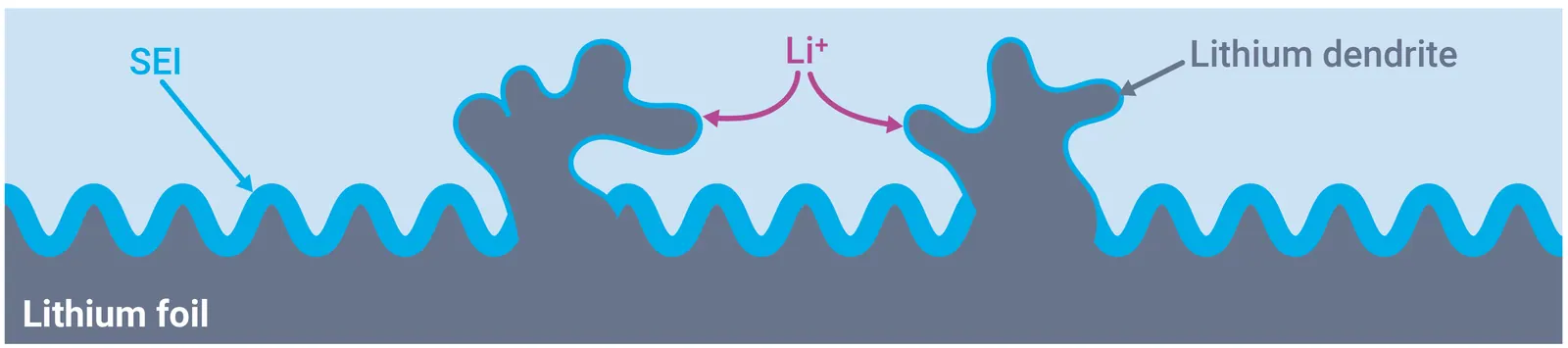 Sơ đồ minh hoạ lithium kim loại mọc thành dạng nhánh cây dendrite trên bề mặt điện cực trong lúc sạc