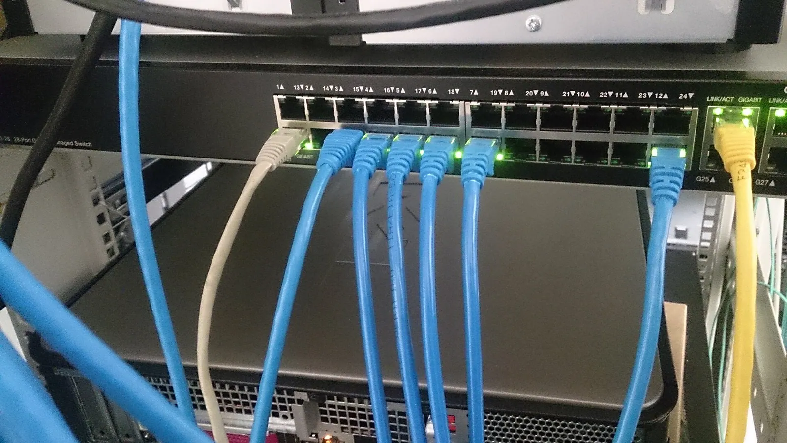 Switch mạng với nhiều dây cáp Ethernet đang cắm, mỗi đèn xanh là một kết nối đang hoạt động
